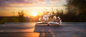 Celebrate new beginnings with transformative books